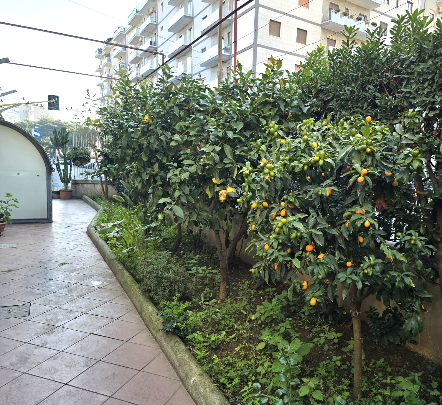 Bari San Pasquale- Via Meucci- RIF. 15/25