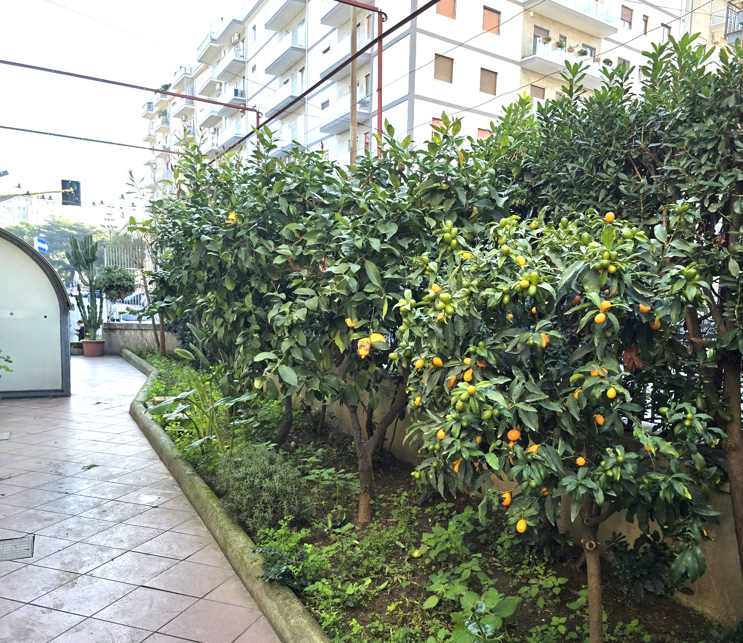Bari San Pasquale- Via Meucci- RIF. 15/25