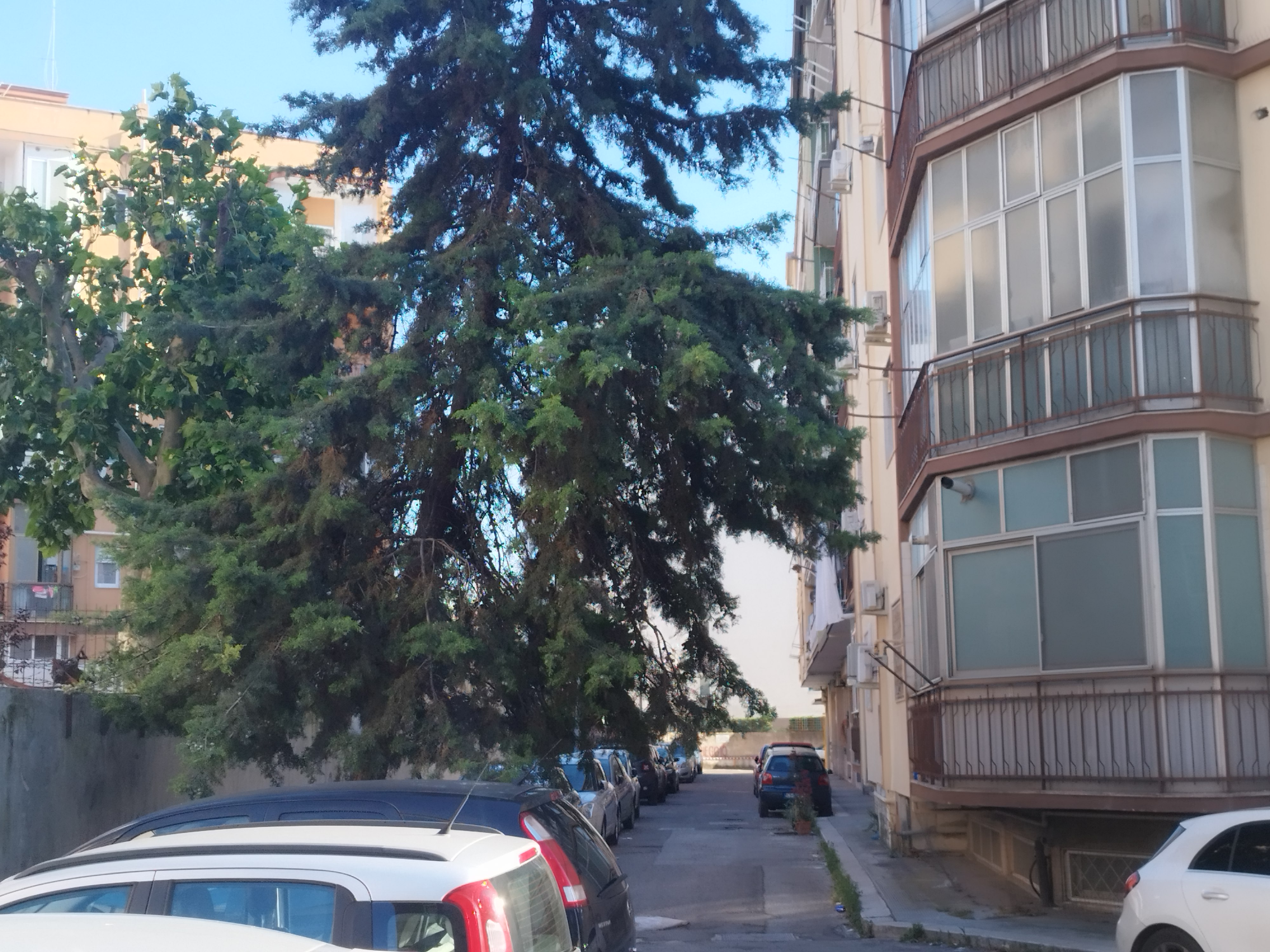 Bari / Picone: Opportunità d'Investimento nelle vicinanze del Policlinico