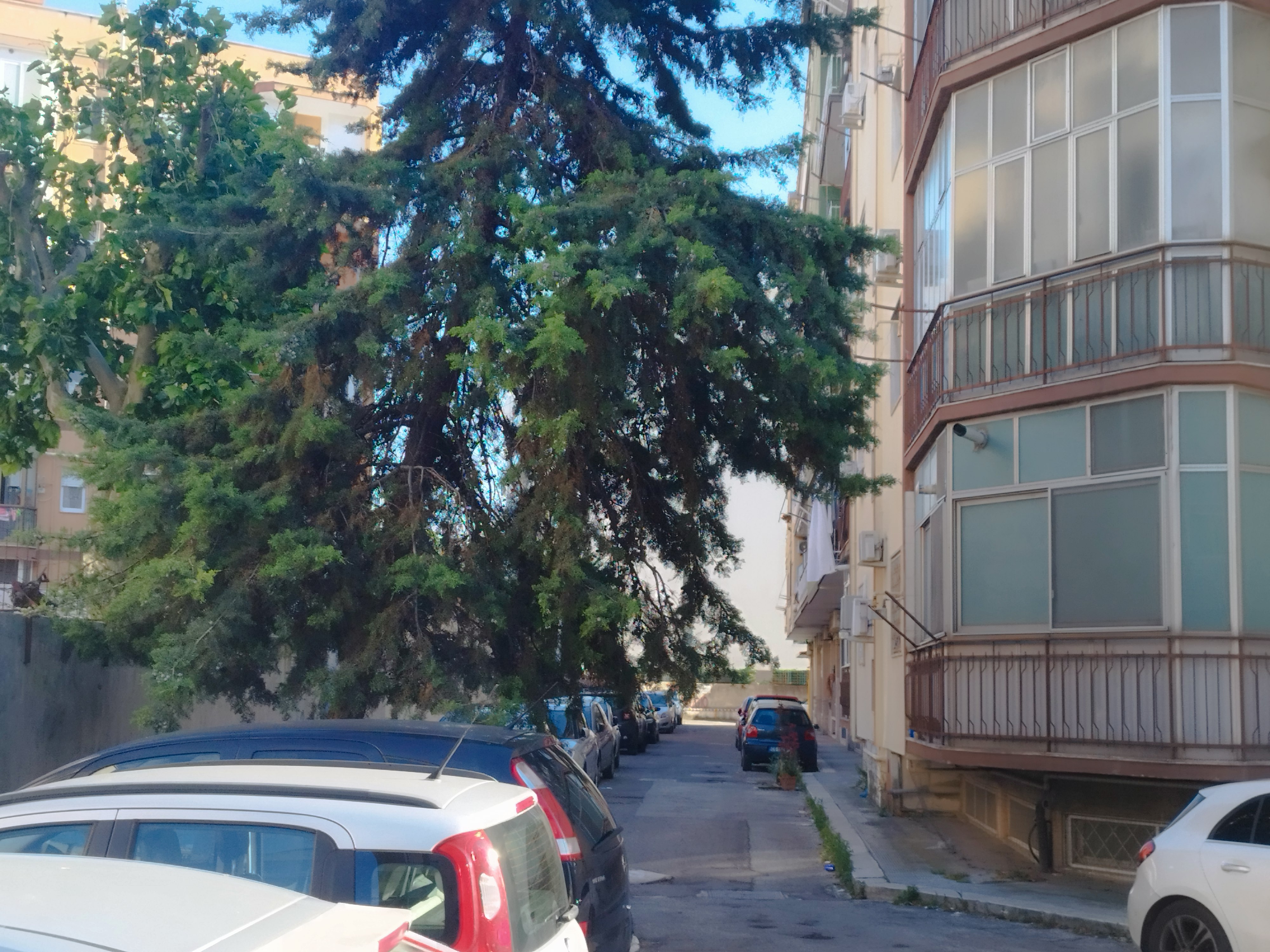 Bari / Picone: Opportunità d'Investimento nelle vicinanze del Policlinico