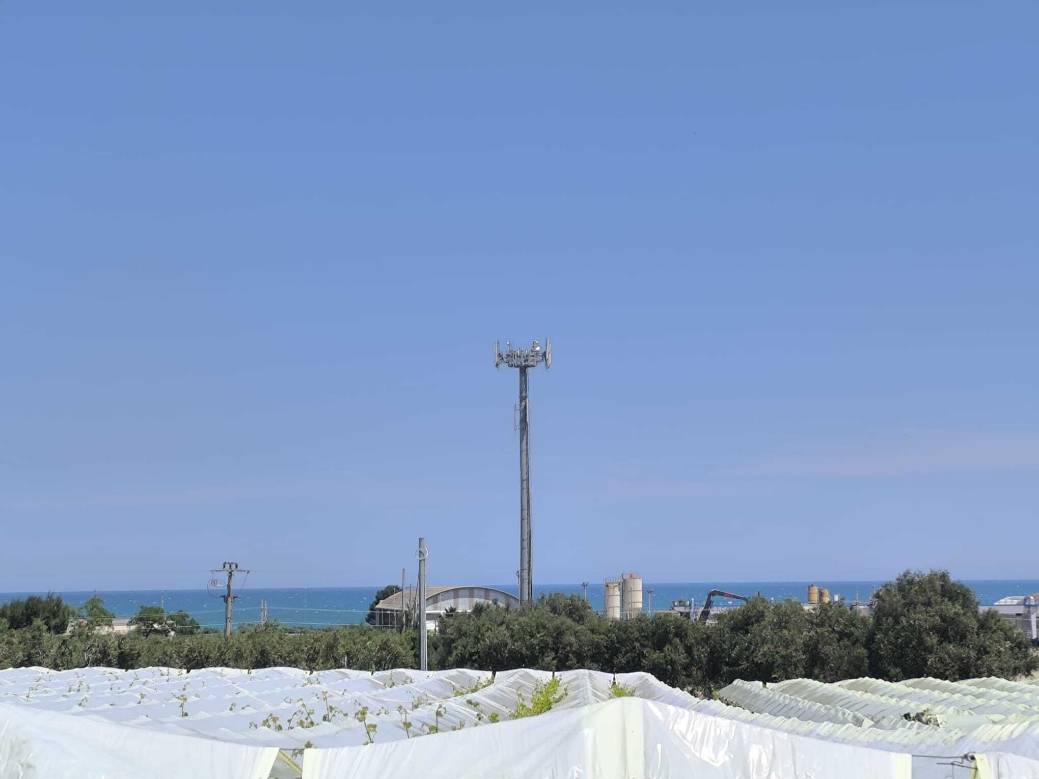 TRANI - TERRENO AGRICOLO - ULIVETO
