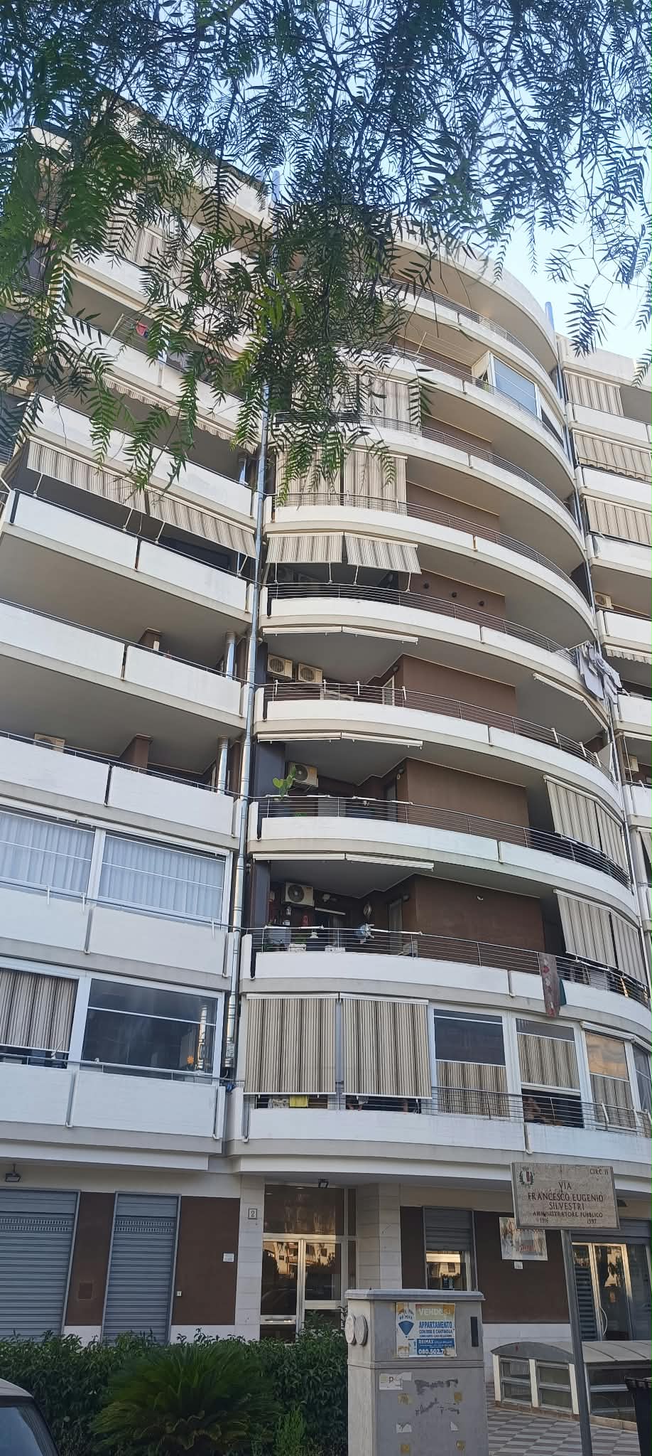 trivani nuovo san paolo