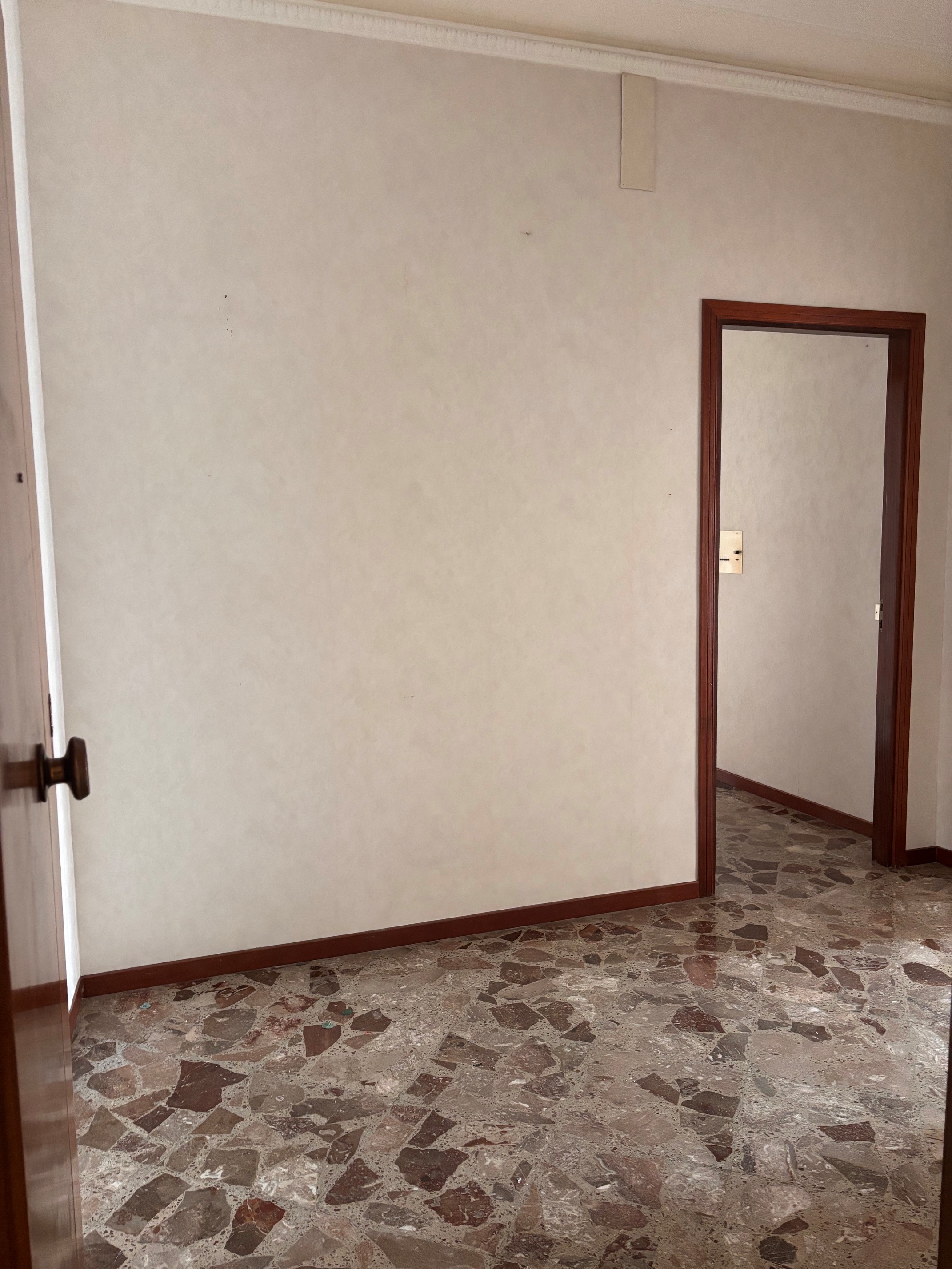 Libero ampio appartamento piano alto e posto auto