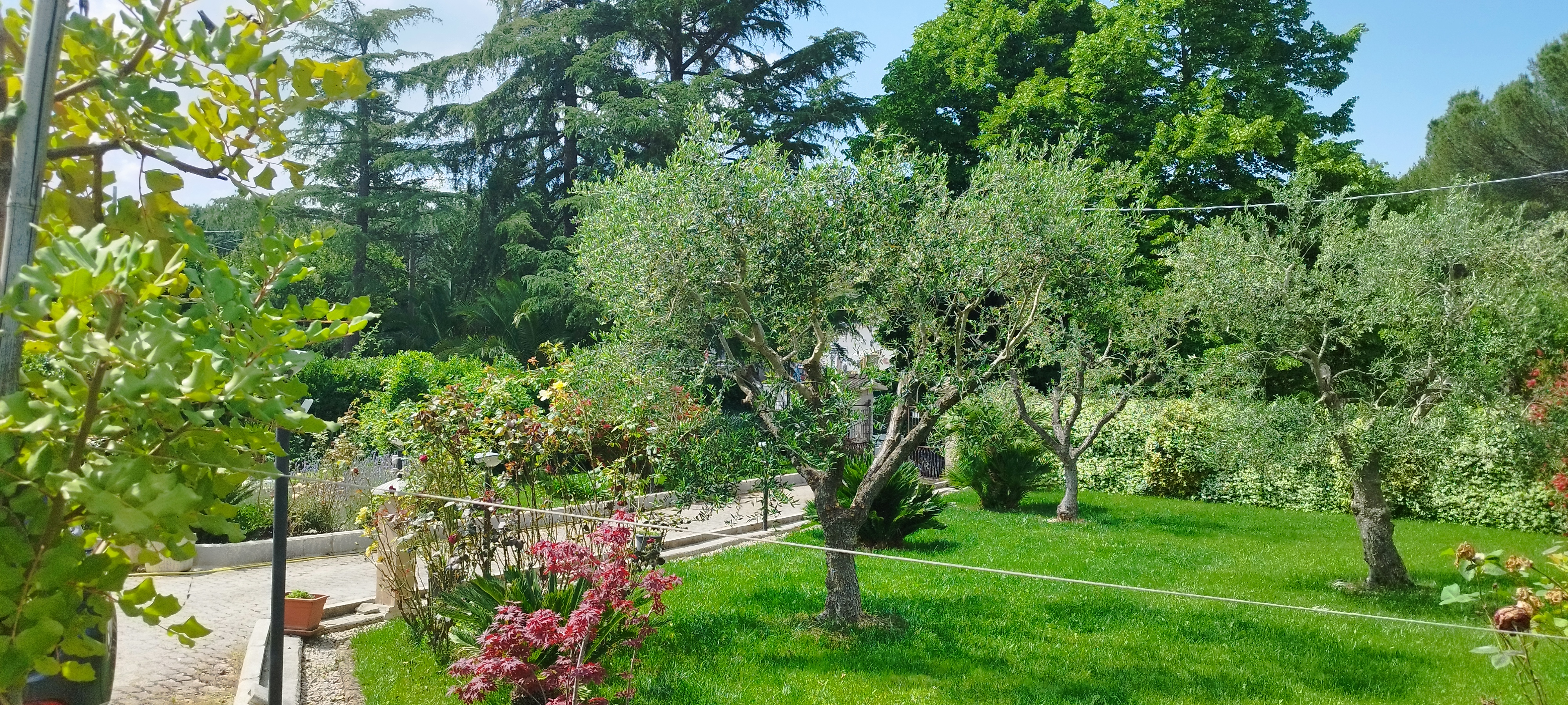 VILLA CON GIARDINO