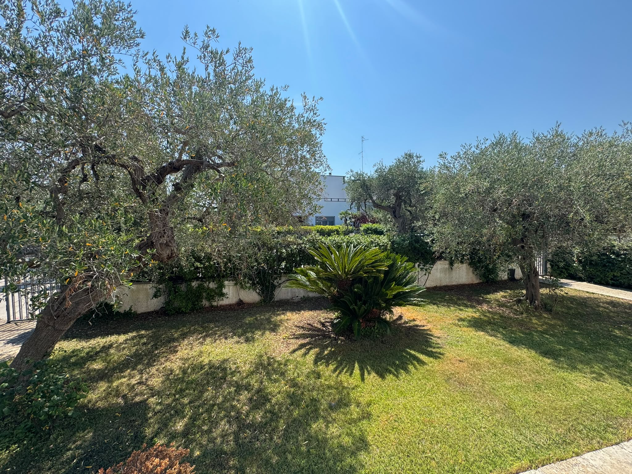 SANTO SPIRITO - VILLA SINGOLA SU 3 LIVELLI