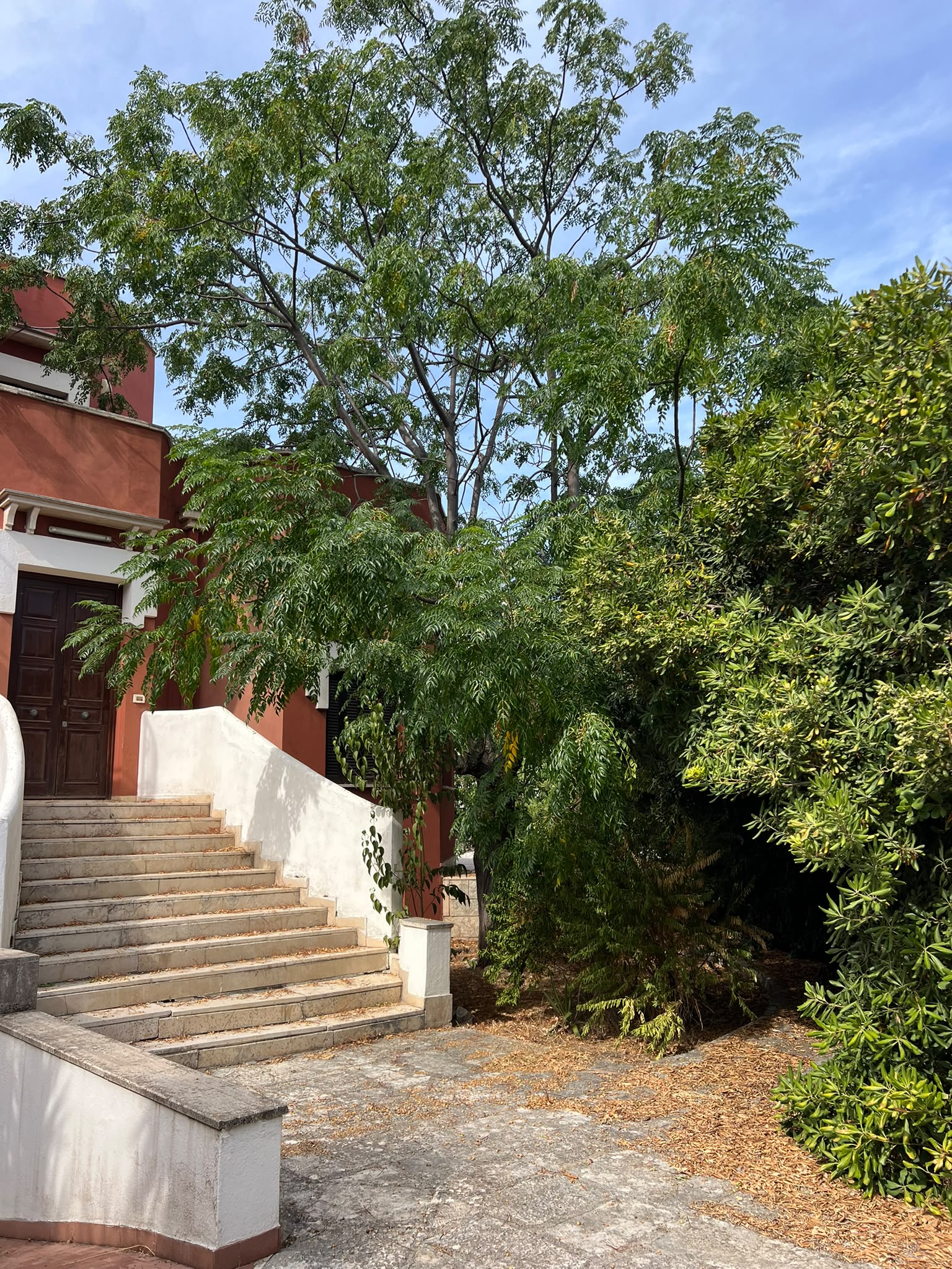 SANTO SPIRITO  - VILLA SINGOLA SU TRE LIVELLI