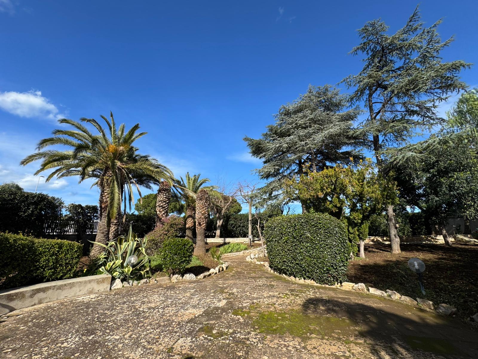 SANTO SPIRITO - VILLA SINGOLA 3 LIVELLI + DEPENDANCE