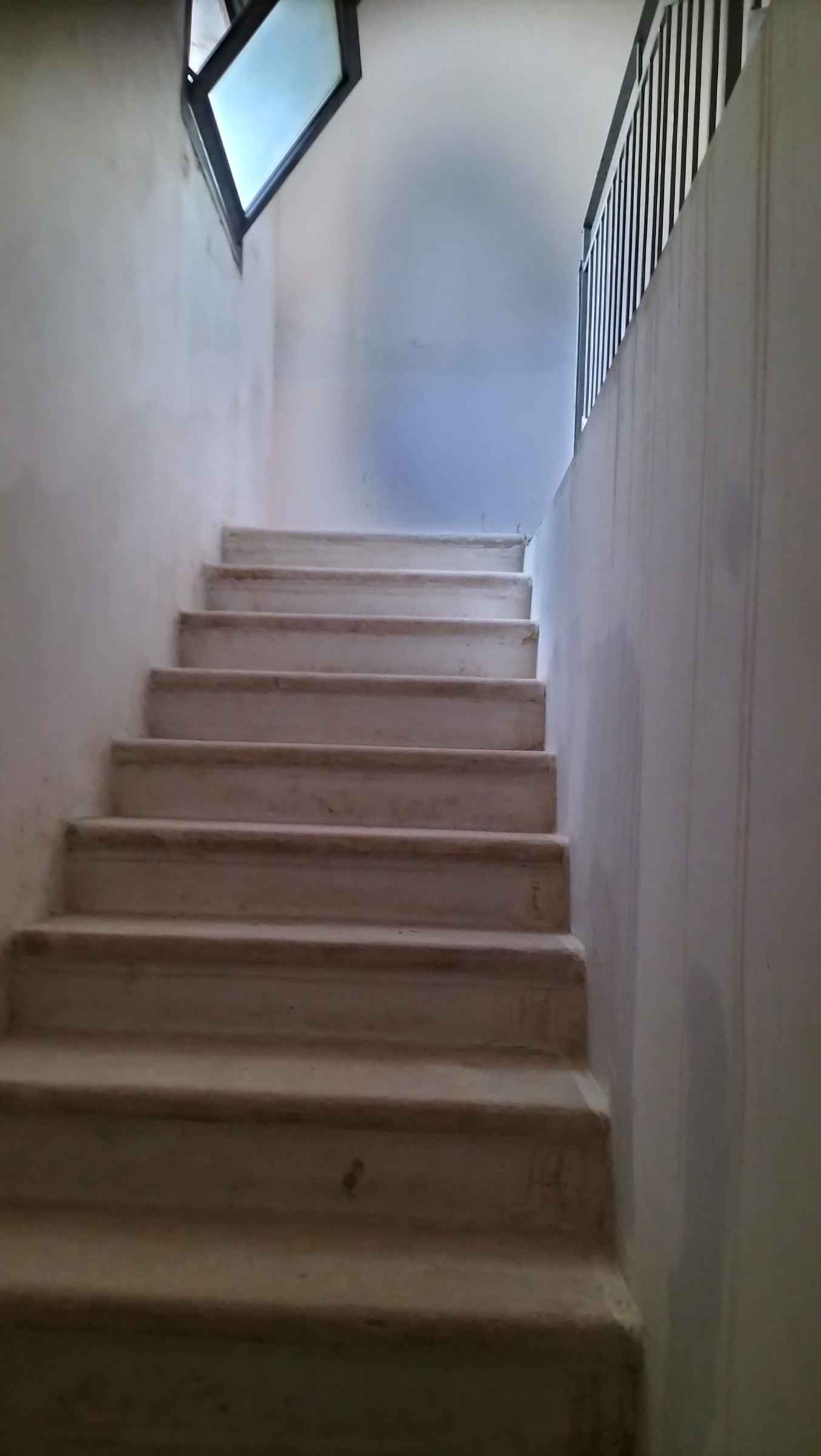 Sannicandro di Bari (Bari) libera casa indipendente su unico livello.