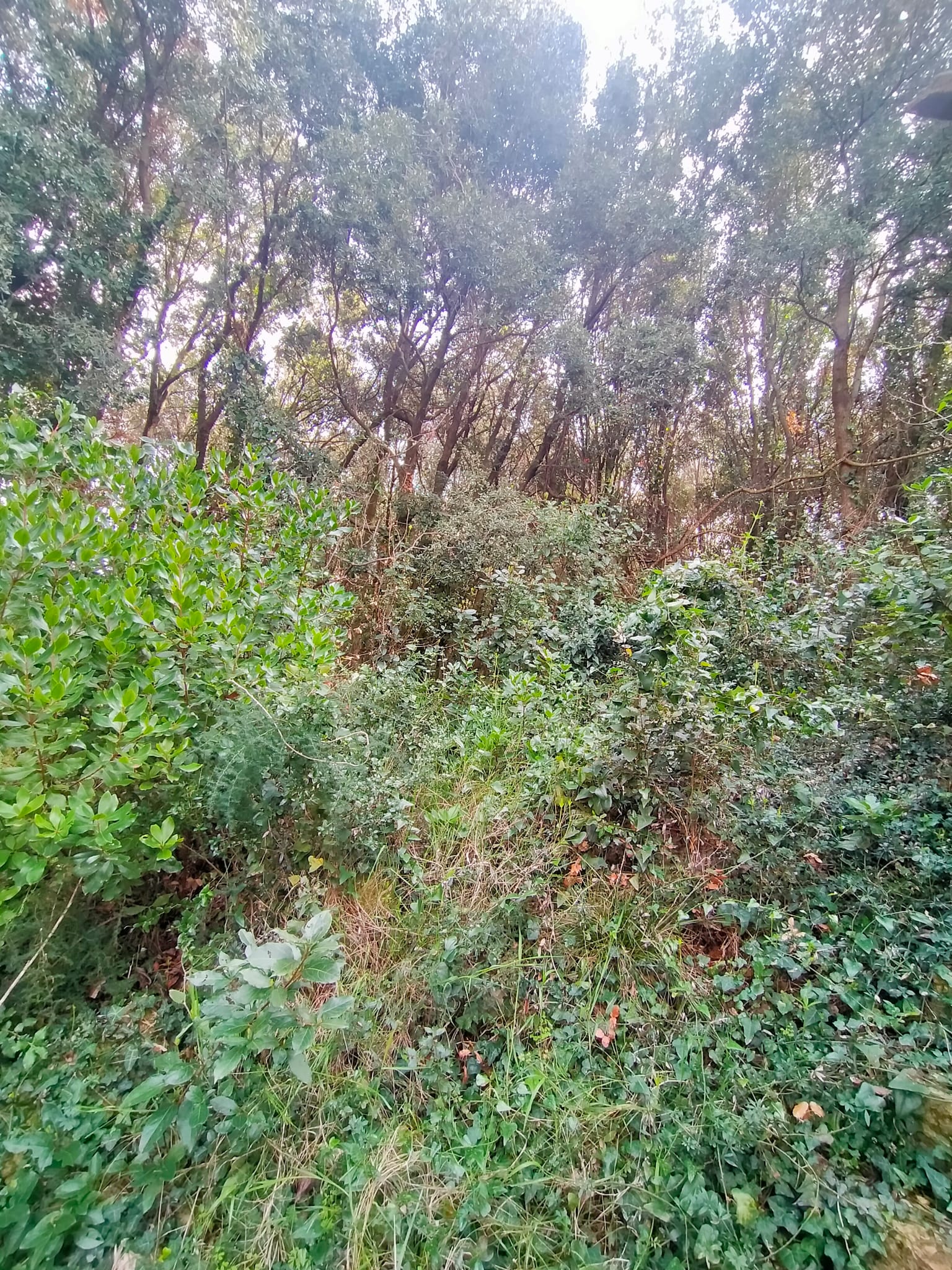 Abitazione in campagna