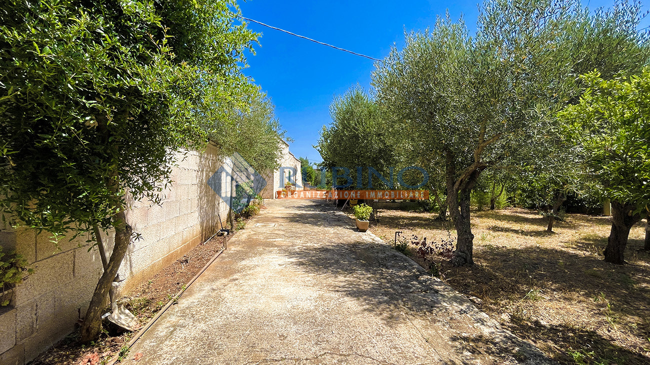 Caratteristica abitazione con trulli
