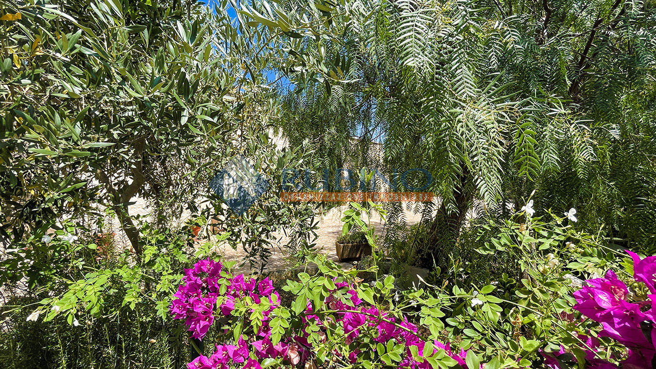 Caratteristica abitazione con trulli