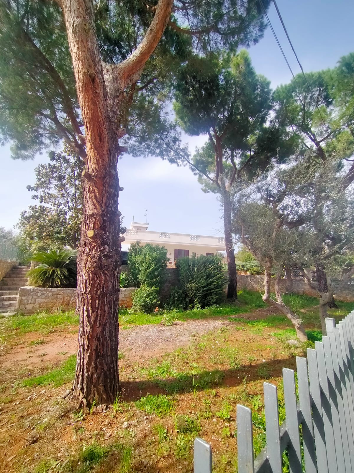 Villa indipendente