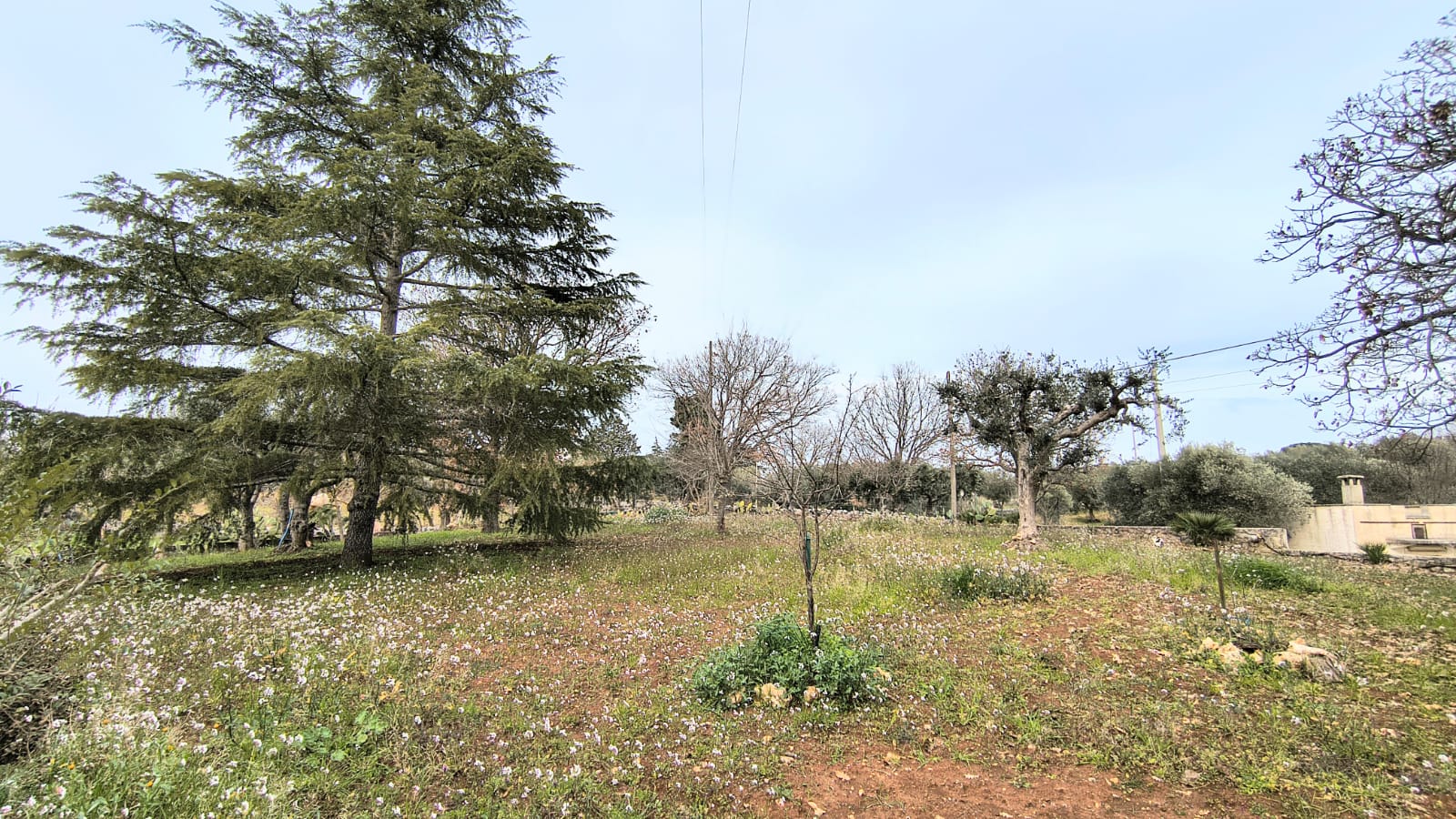 Villa indipendente