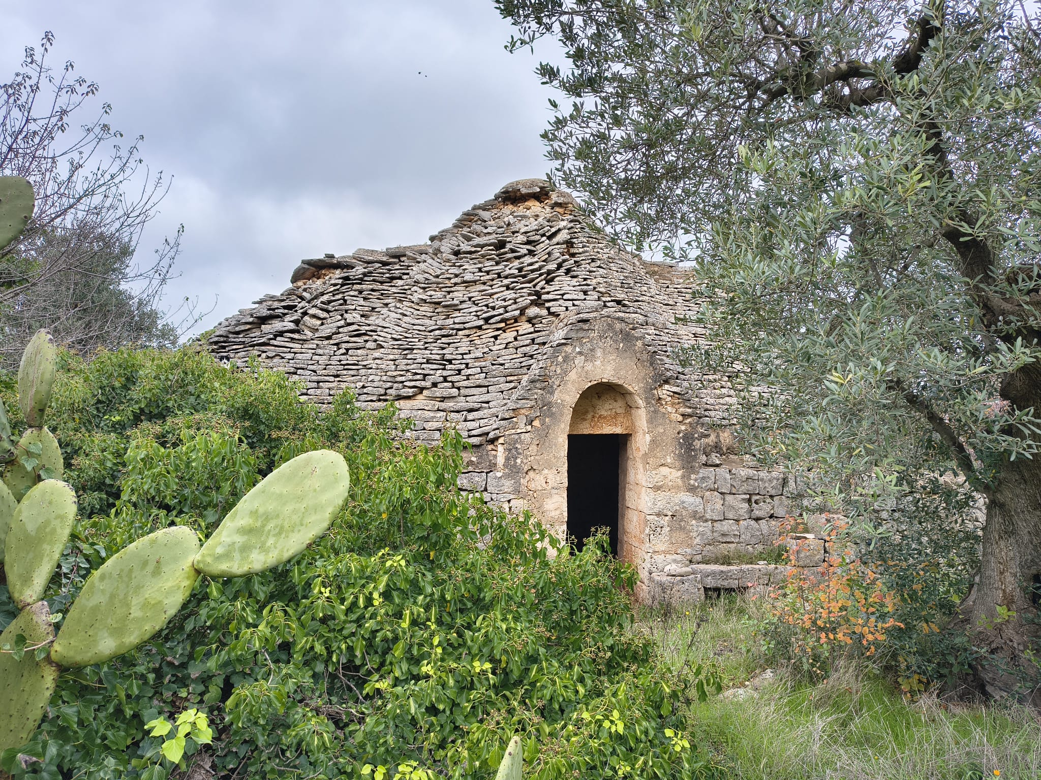 Trullo con terreno agricolo