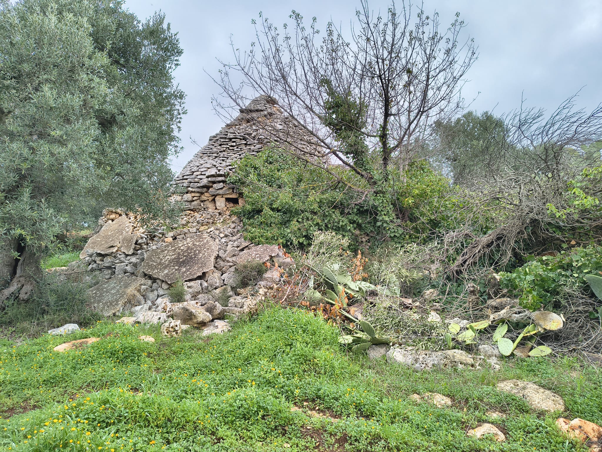 Trullo con terreno agricolo