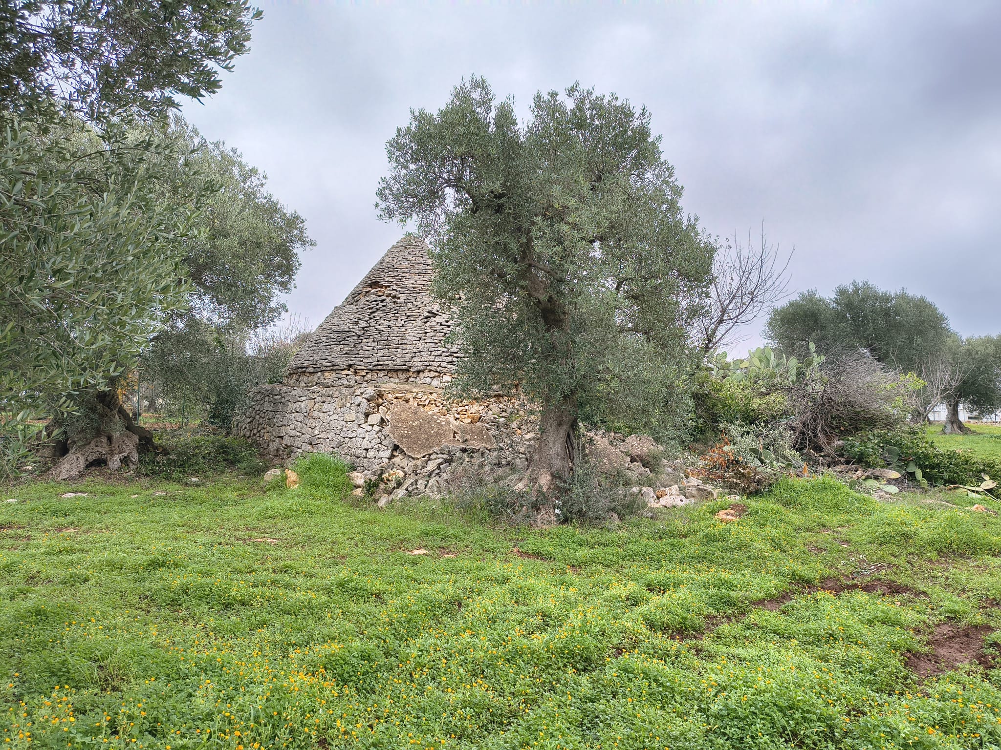 Trullo con terreno agricolo