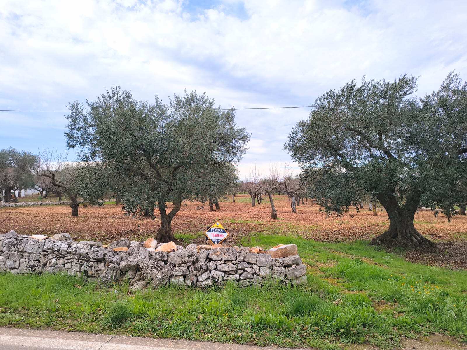 Terreno agricolo