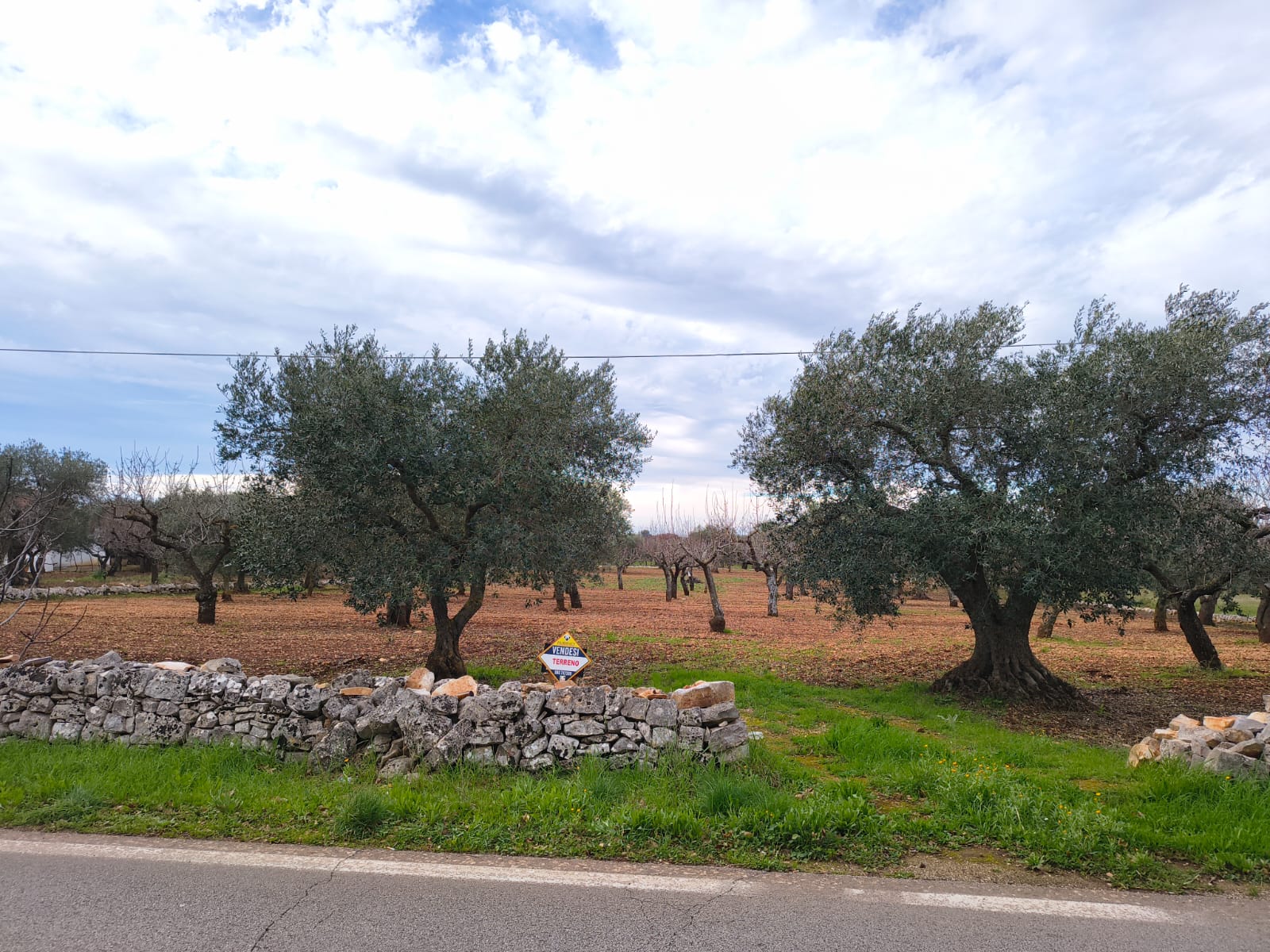 Terreno agricolo